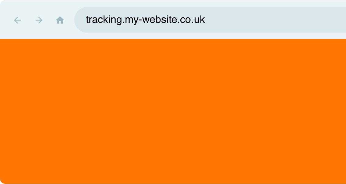 Custom, multi-carrier tracking portal